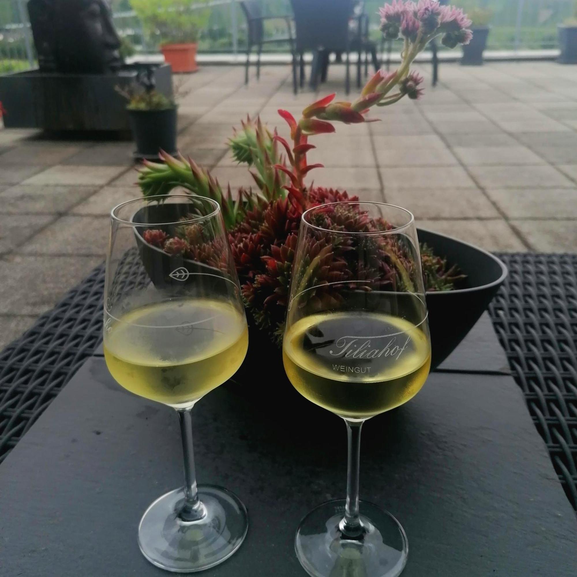 Bed and Breakfast Weingut Tiliahof Brauneberg Exterior foto